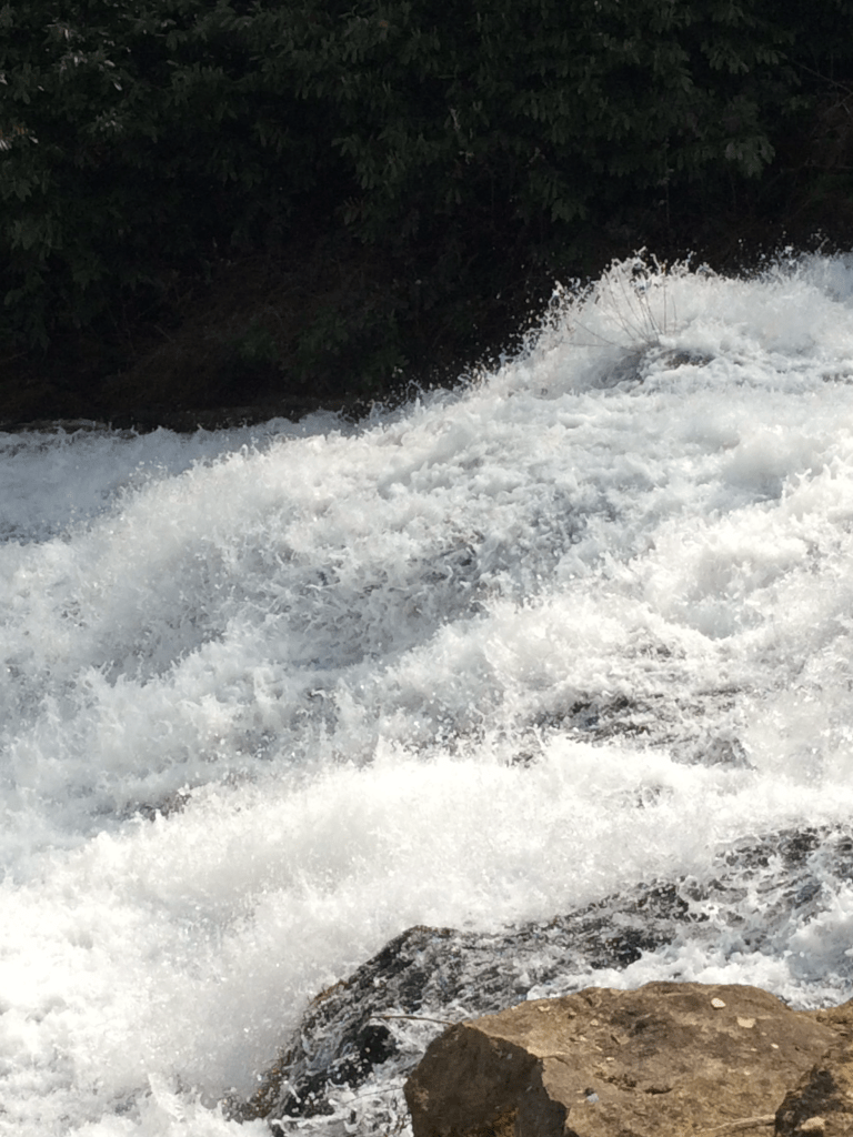 8C8064B7-97CE-45C1-95FF-28460FA4A384